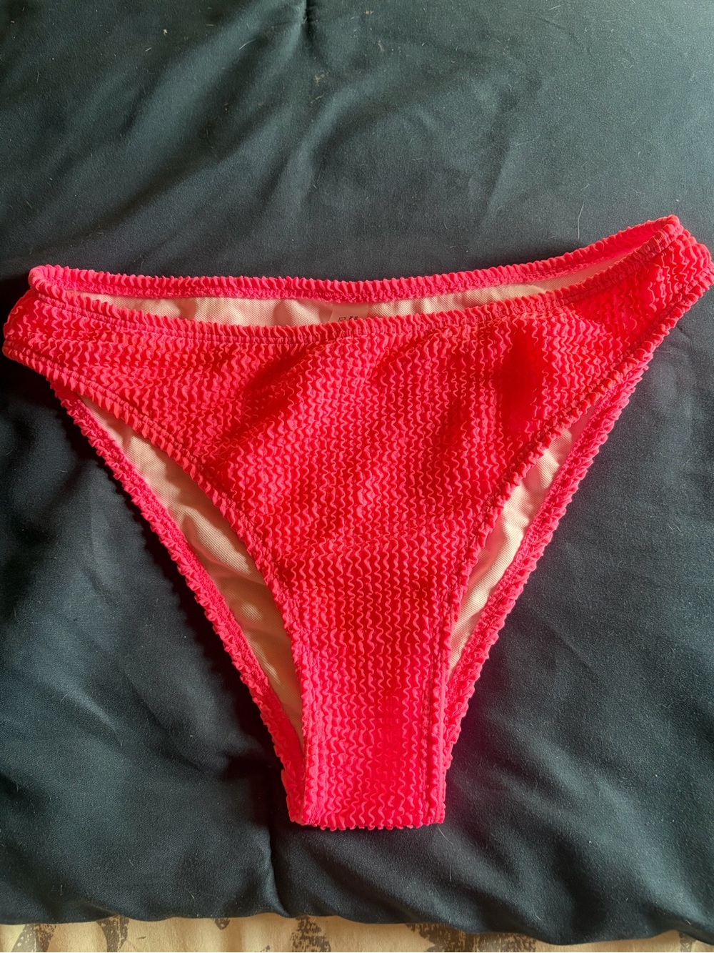 Hot Pink Textured Bikini Bottom